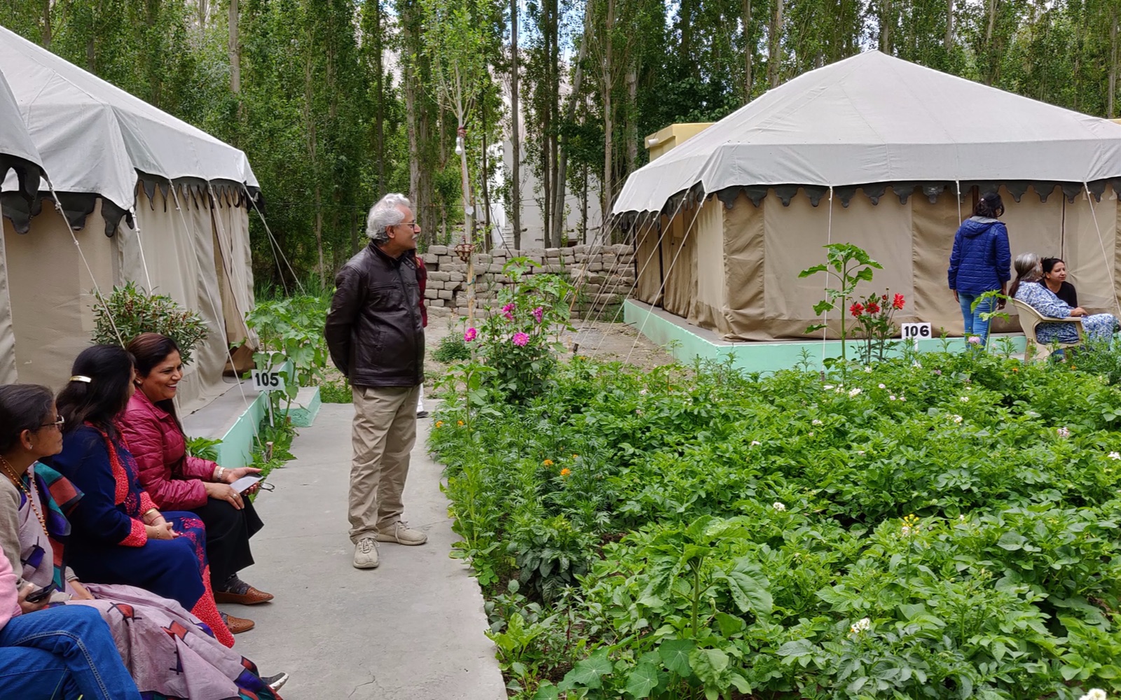 Deluxe Swiss camp stay at Nubra valley
