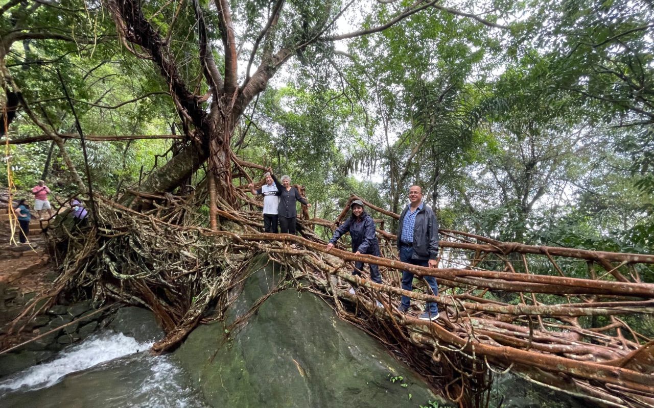 Living Root Bridge – crafted over time by intertwining tree roots