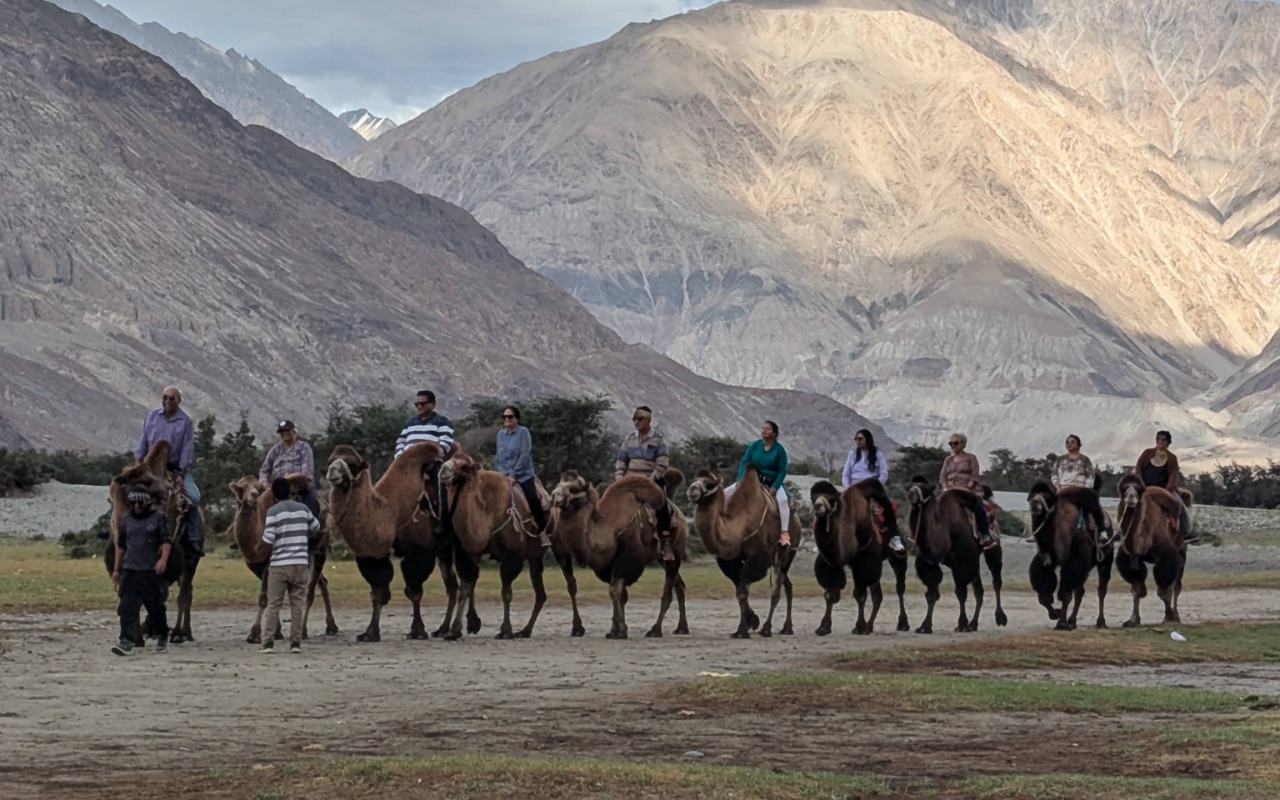 Camel Ride at Hunder