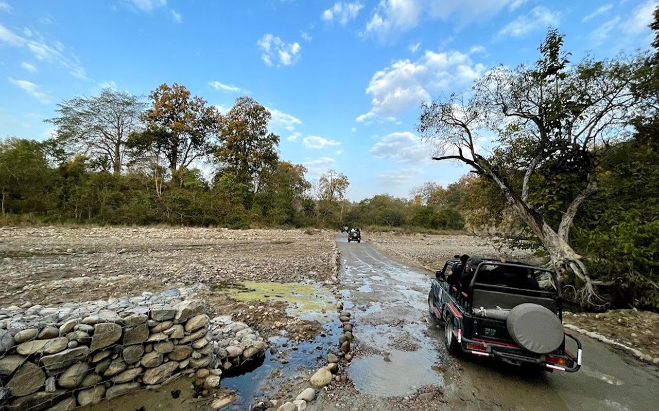 Into the wild on a thrilling safari