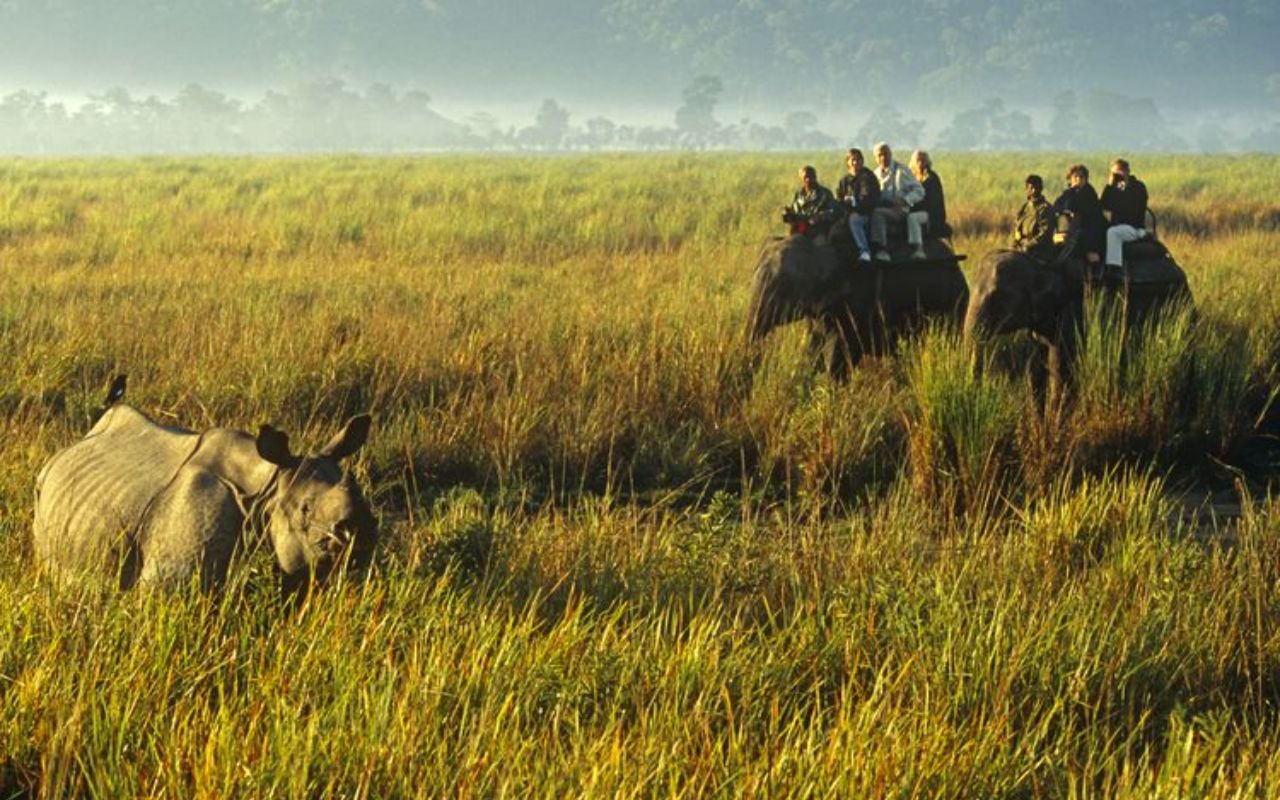 Kaziranga National Park