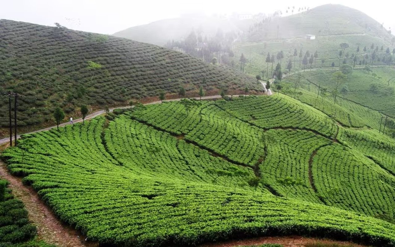 Darjeeling — the timeless Queen of Hills