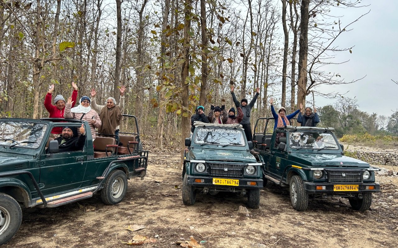Into the wild on a thrilling safari